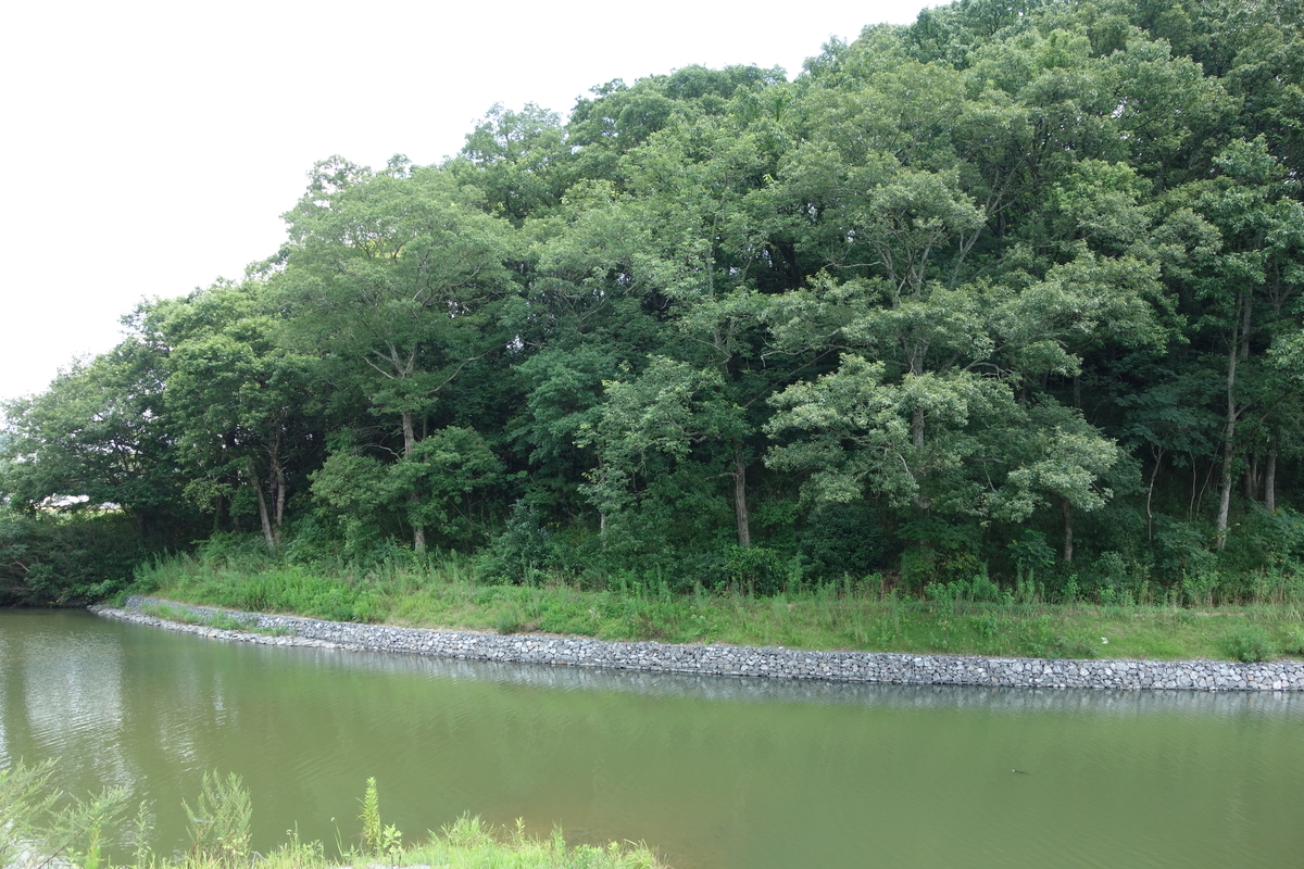 f:id:sogensyooku:20200816205603j:plain