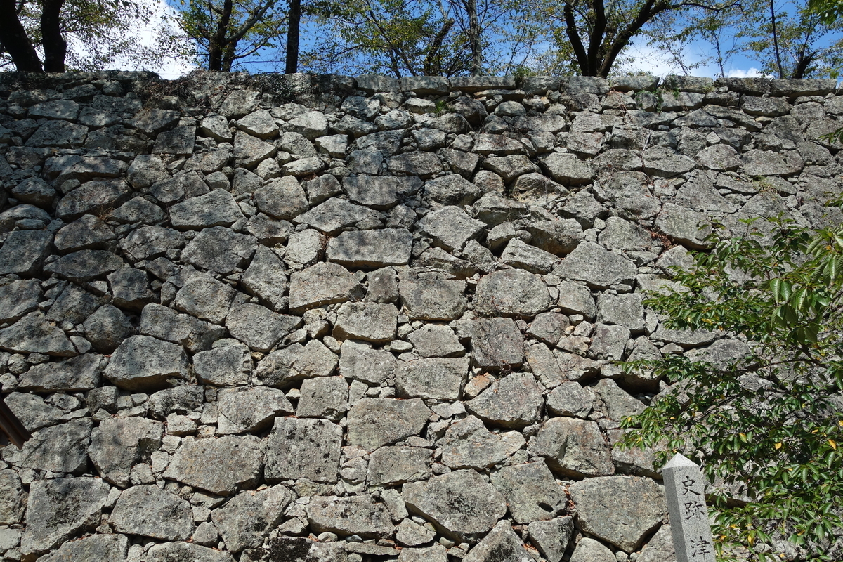 f:id:sogensyooku:20200916211244j:plain