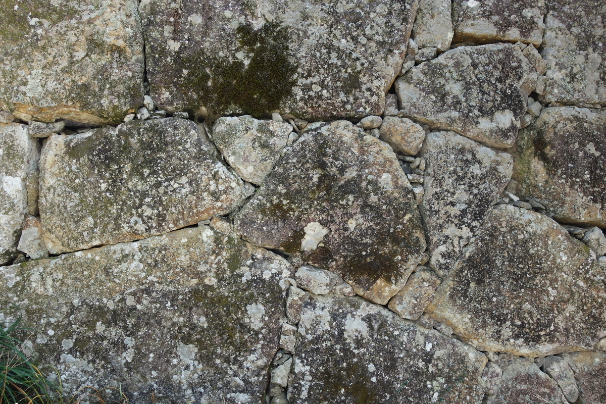 f:id:sogensyooku:20200916212114j:plain