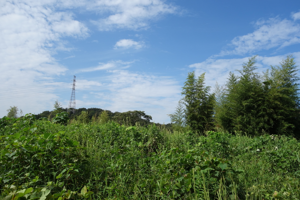 f:id:sogensyooku:20201007210501j:plain