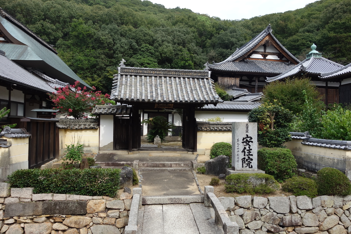 f:id:sogensyooku:20201012210503j:plain f:id:sogensyooku:20201012210503j:plain