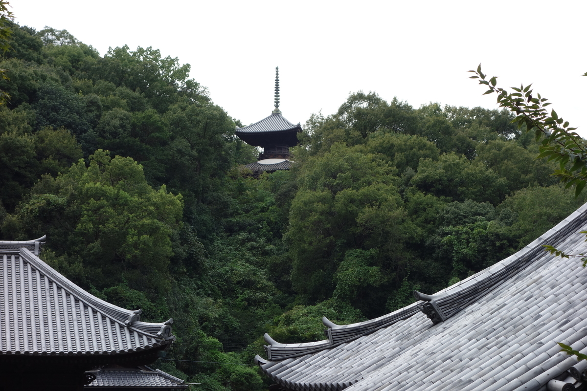 f:id:sogensyooku:20201012211020j:plain f:id:sogensyooku:20201012211020j:plain