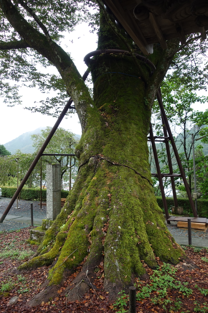 f:id:sogensyooku:20201022210354j:plain f:id:sogensyooku:20201022210354j:plain