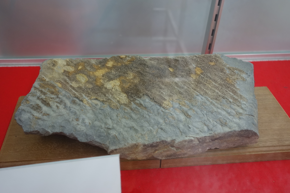 f:id:sogensyooku:20201024212307j:plain