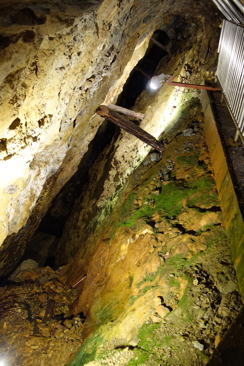 f:id:sogensyooku:20201102162526j:plain