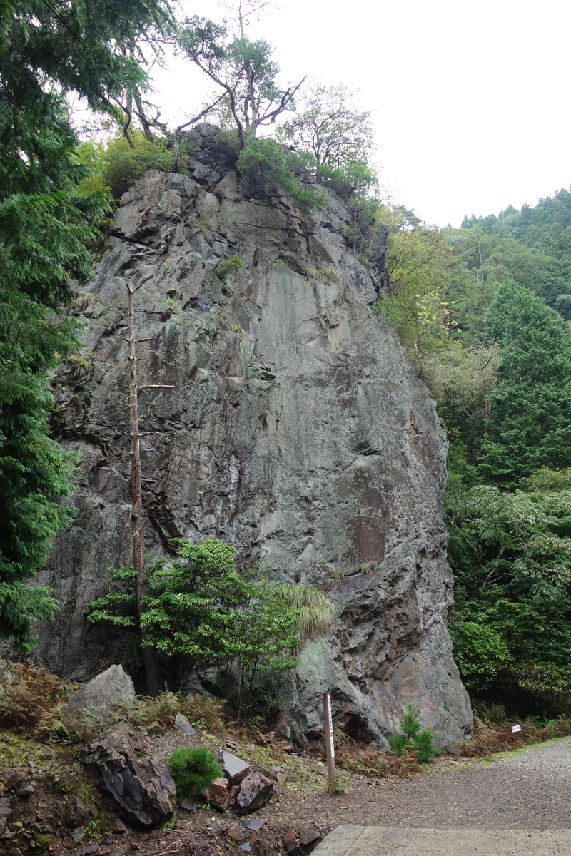 f:id:sogensyooku:20201103200717j:plain