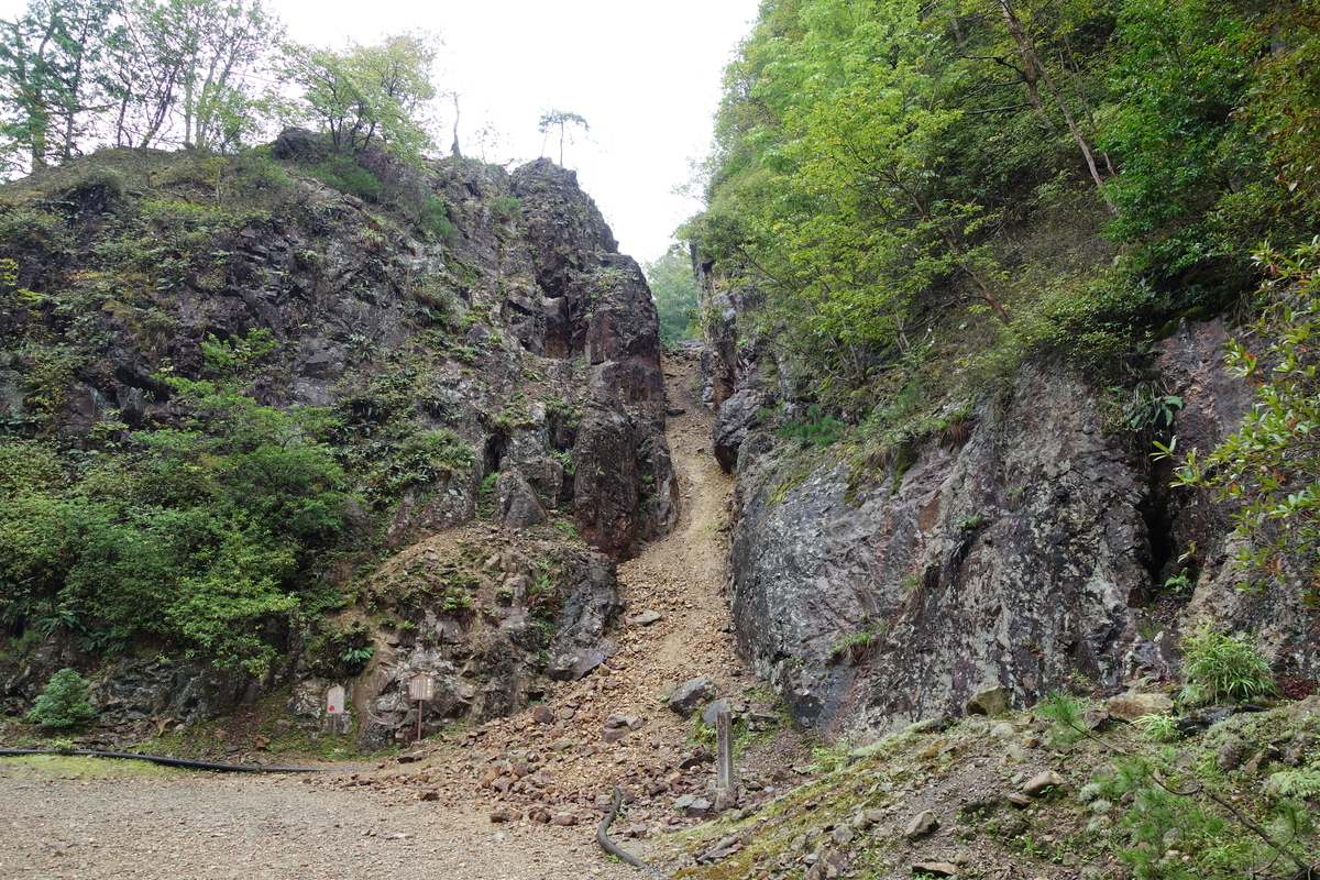 f:id:sogensyooku:20201103201622j:plain