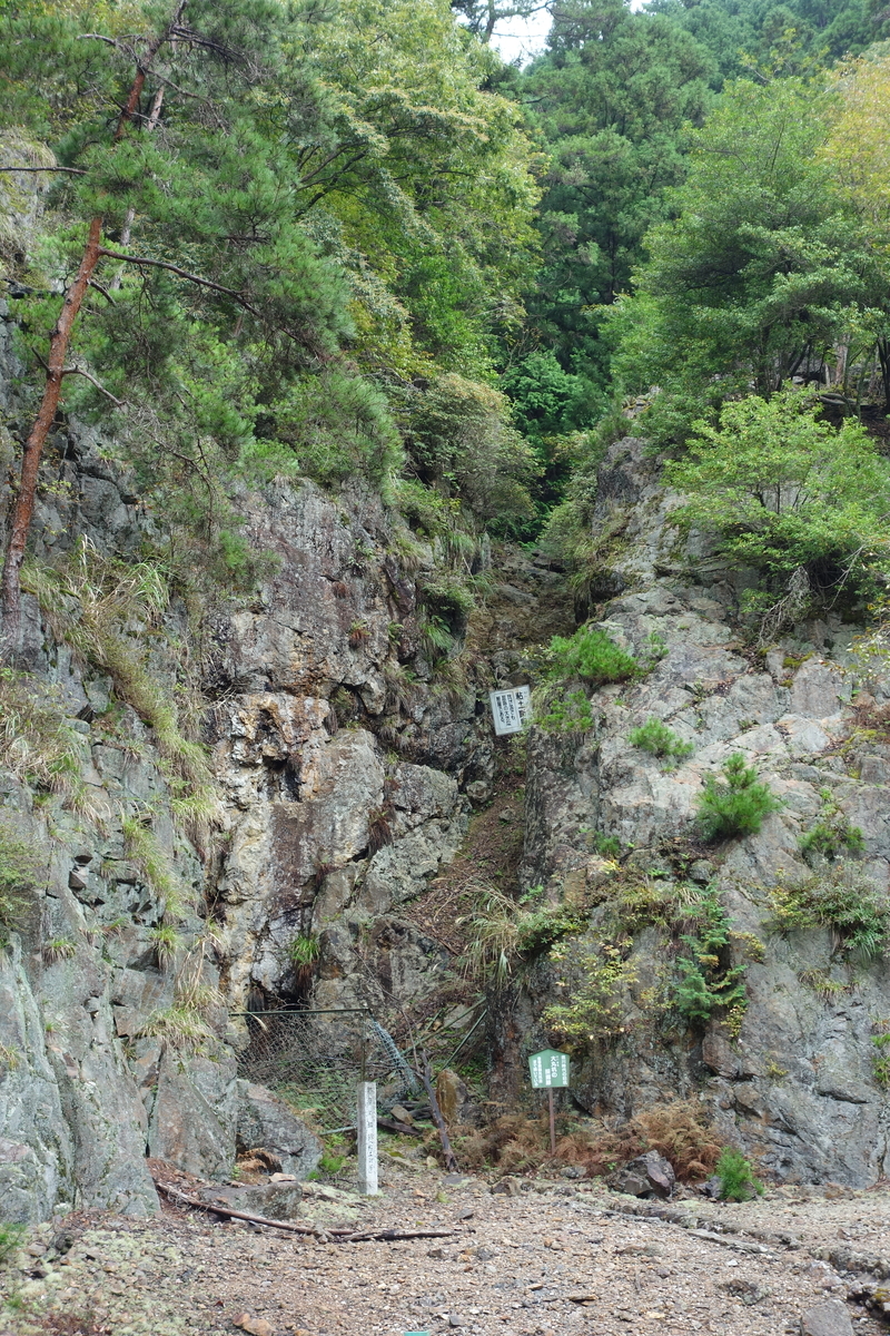 f:id:sogensyooku:20201103202901j:plain