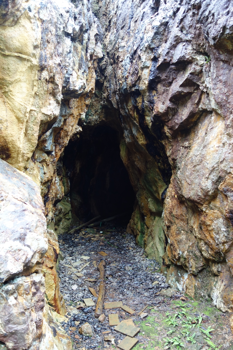 f:id:sogensyooku:20201103203230j:plain