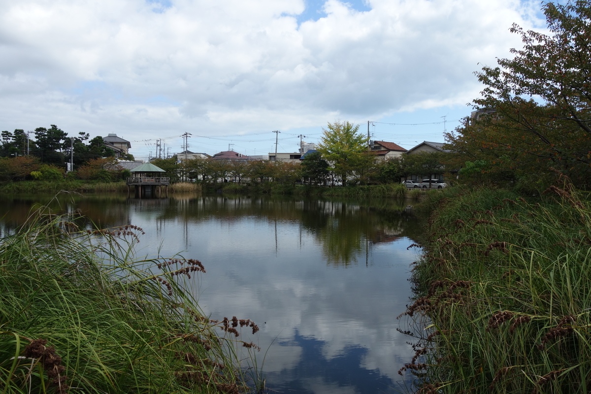 f:id:sogensyooku:20201123222138j:plain