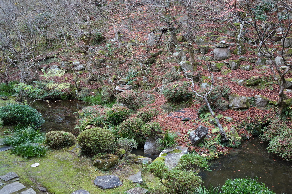 f:id:sogensyooku:20210106212512j:plain