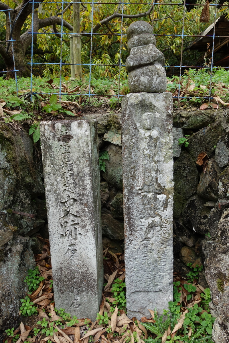 f:id:sogensyooku:20210107210320j:plain