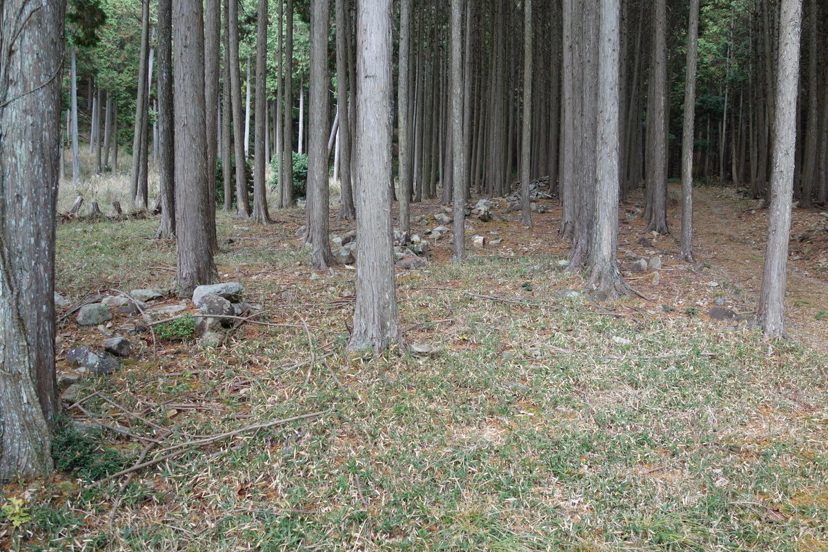 f:id:sogensyooku:20210107210816j:plain