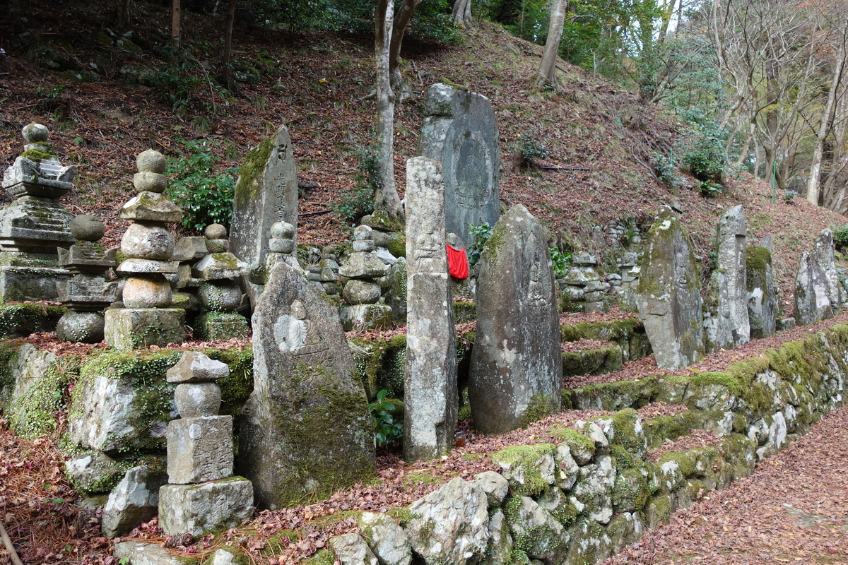 f:id:sogensyooku:20210107214449j:plain