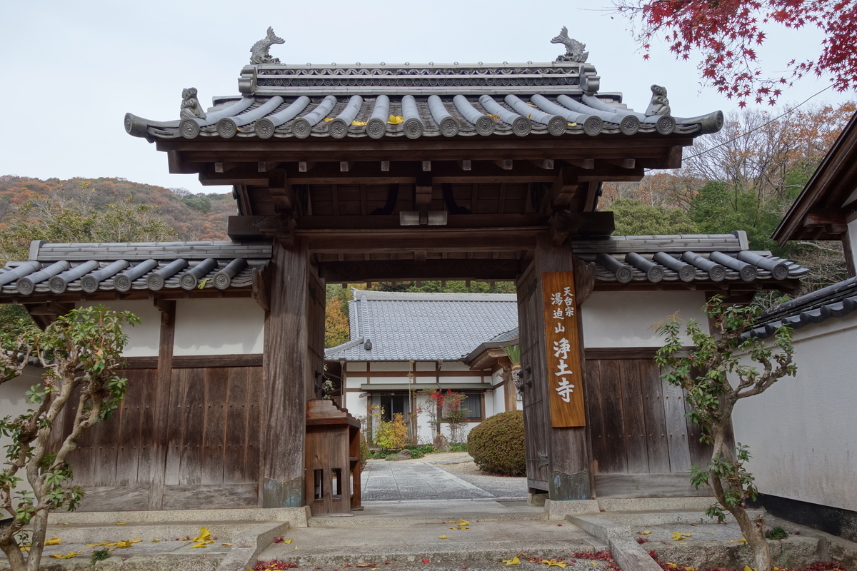 f:id:sogensyooku:20210117154924j:plain