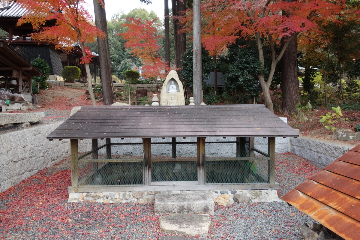 f:id:sogensyooku:20210117155408j:plain