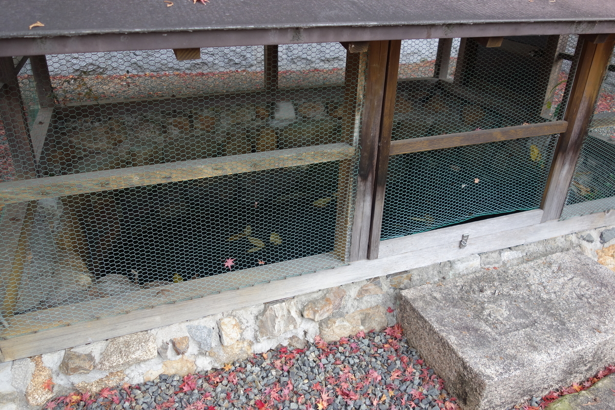 f:id:sogensyooku:20210117155514j:plain