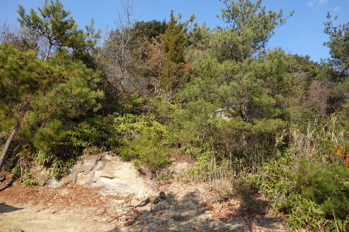 f:id:sogensyooku:20210204211649j:plain