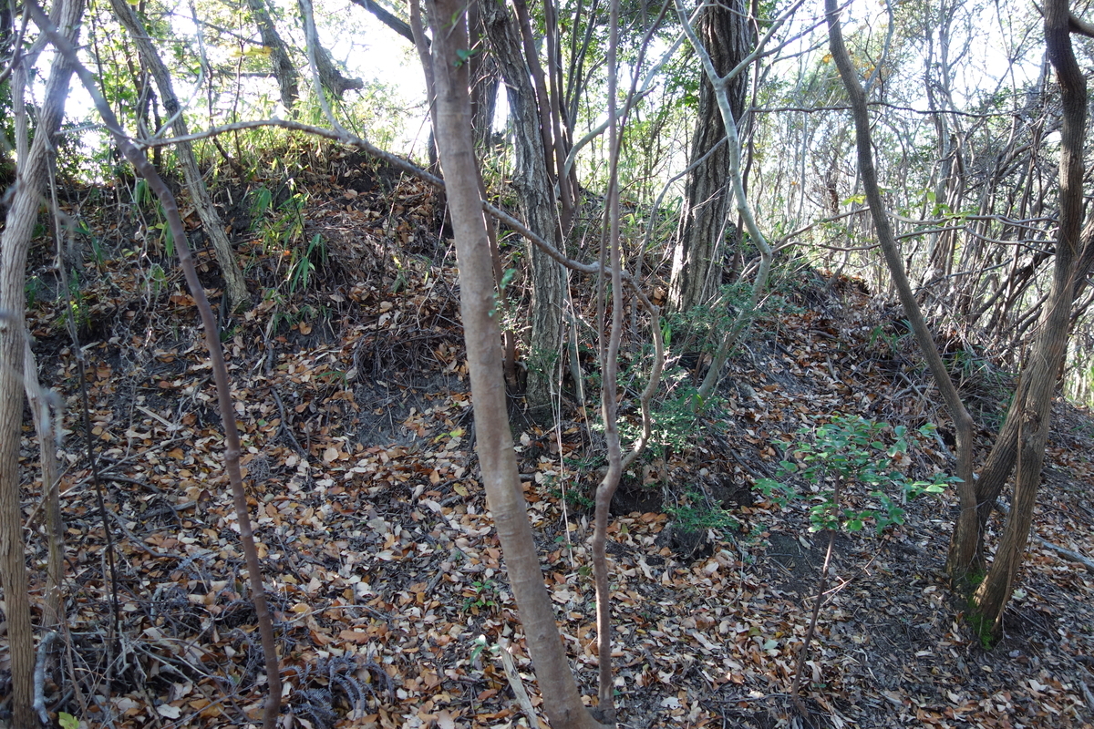 f:id:sogensyooku:20210204212026j:plain