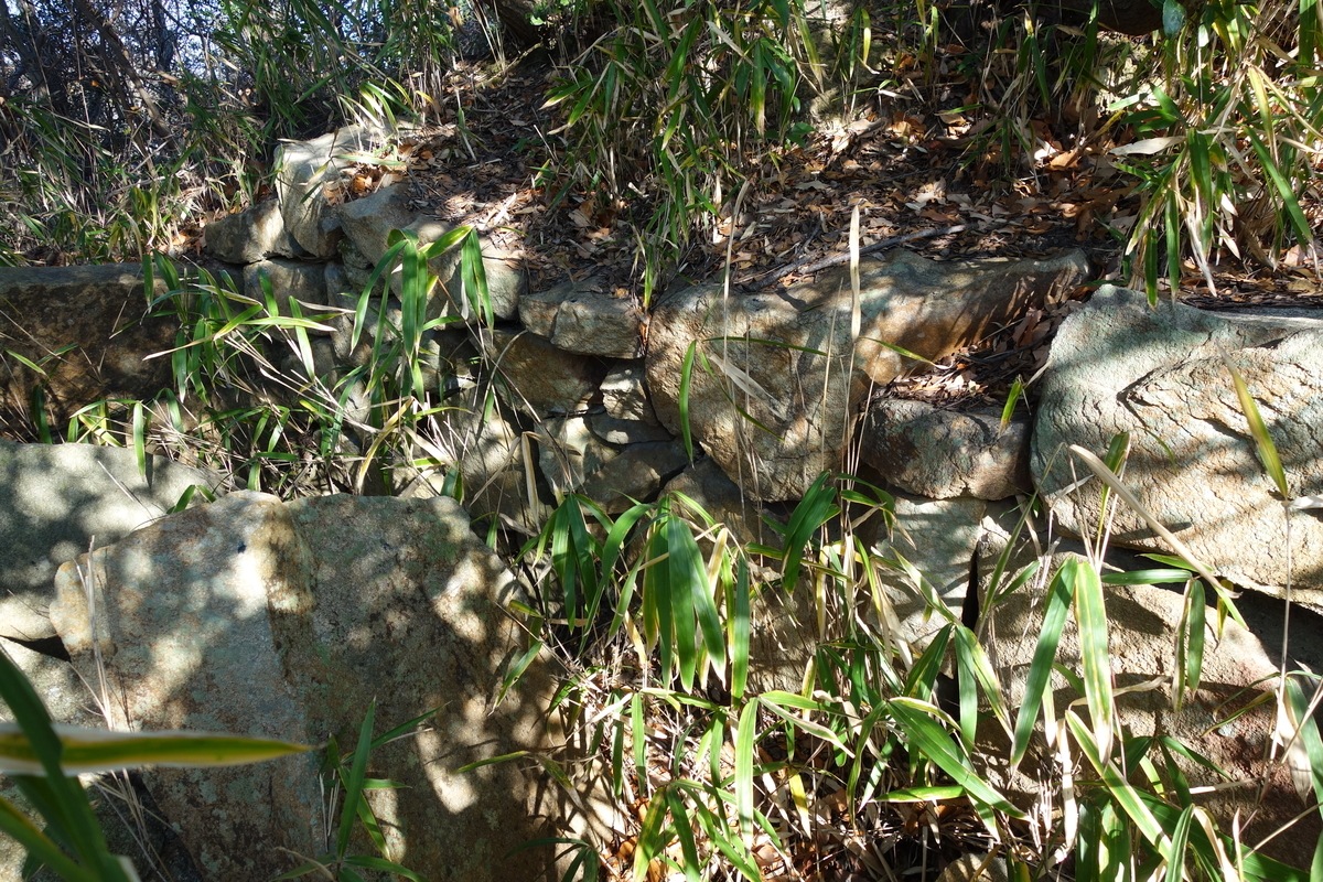 f:id:sogensyooku:20210204212513j:plain