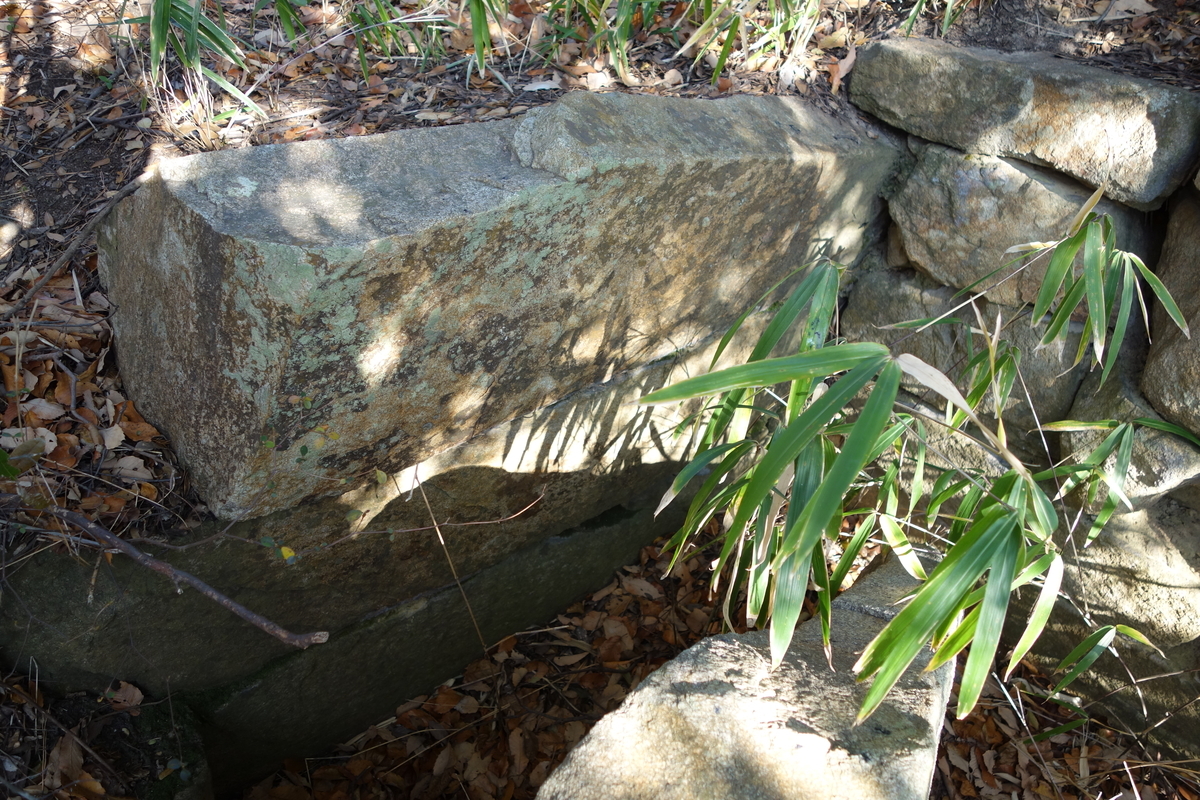 f:id:sogensyooku:20210204212625j:plain