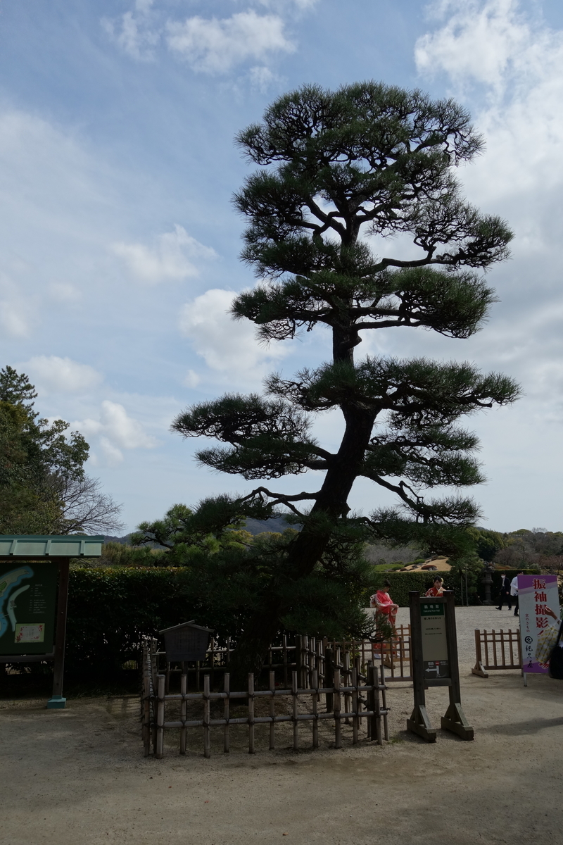 f:id:sogensyooku:20210311204708j:plain