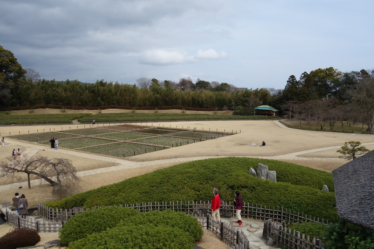 f:id:sogensyooku:20210315203553j:plain