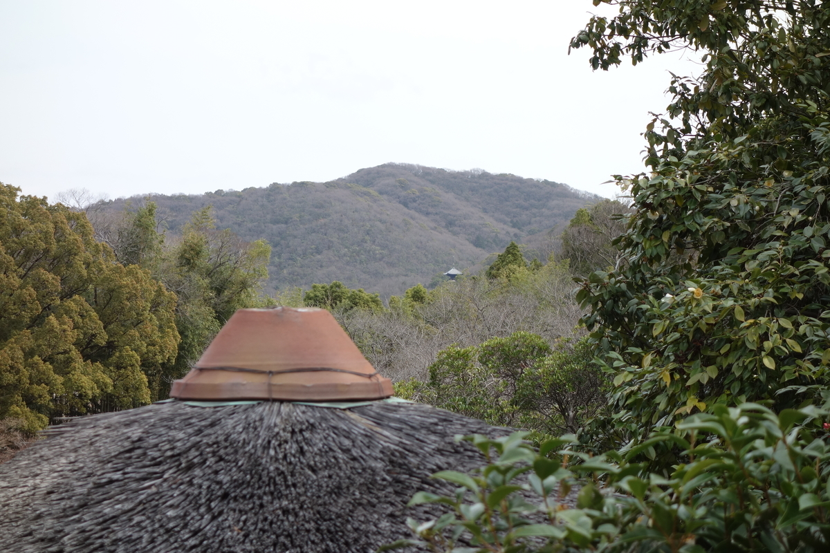 f:id:sogensyooku:20210315204141j:plain