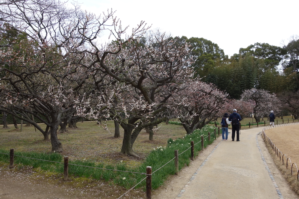 f:id:sogensyooku:20210315211227j:plain