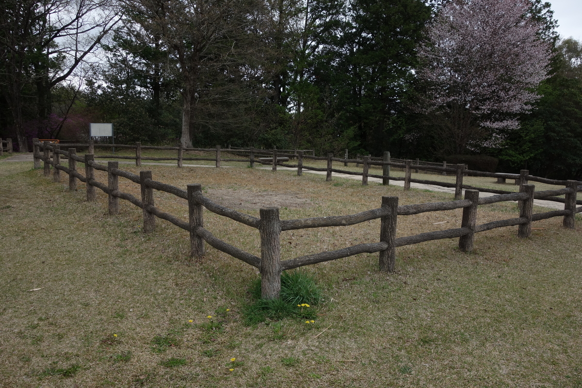 f:id:sogensyooku:20210423175556j:plain