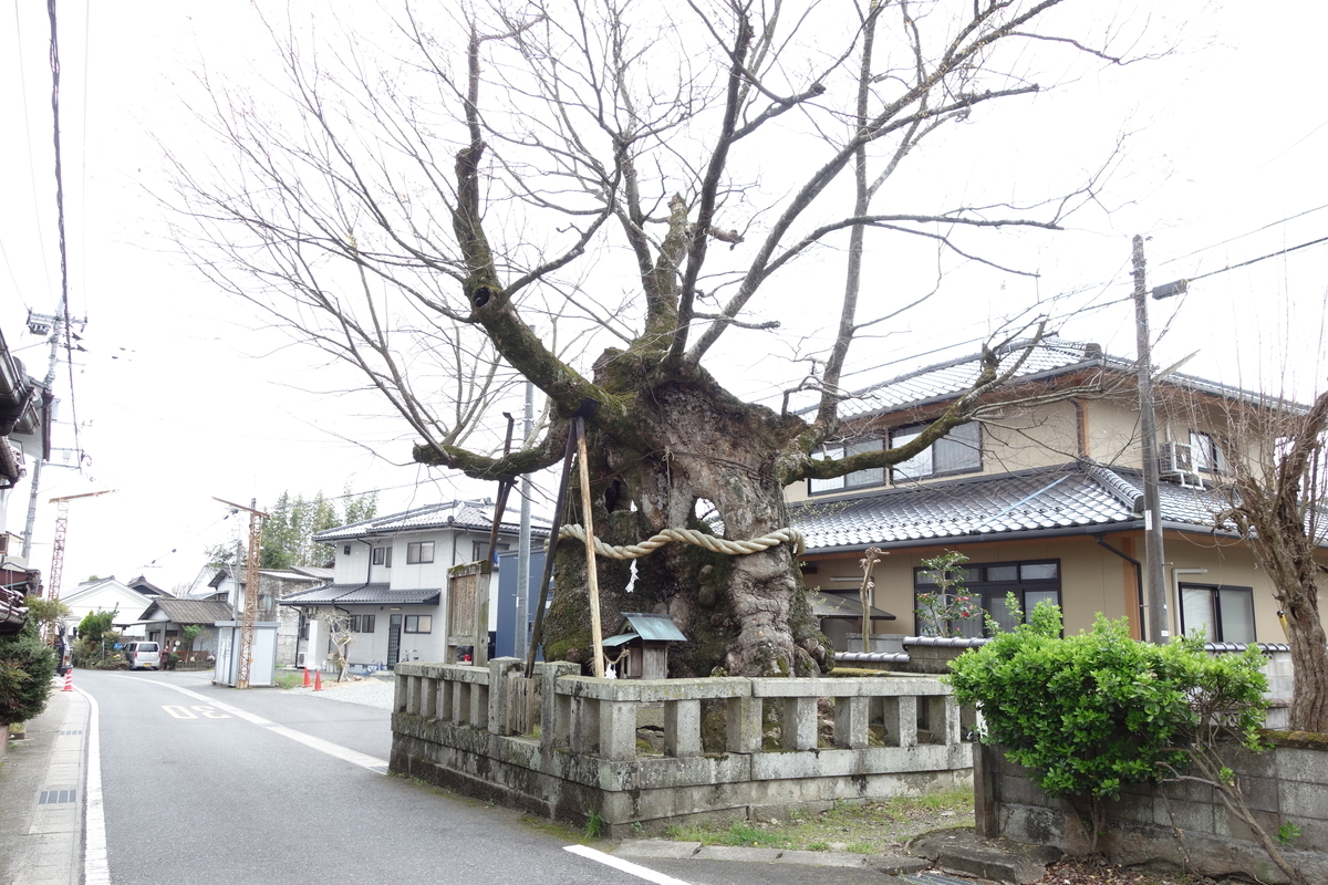 国幣中社 中山神社 史料 中山神社（津山市一宮） | たんぽぽろぐ