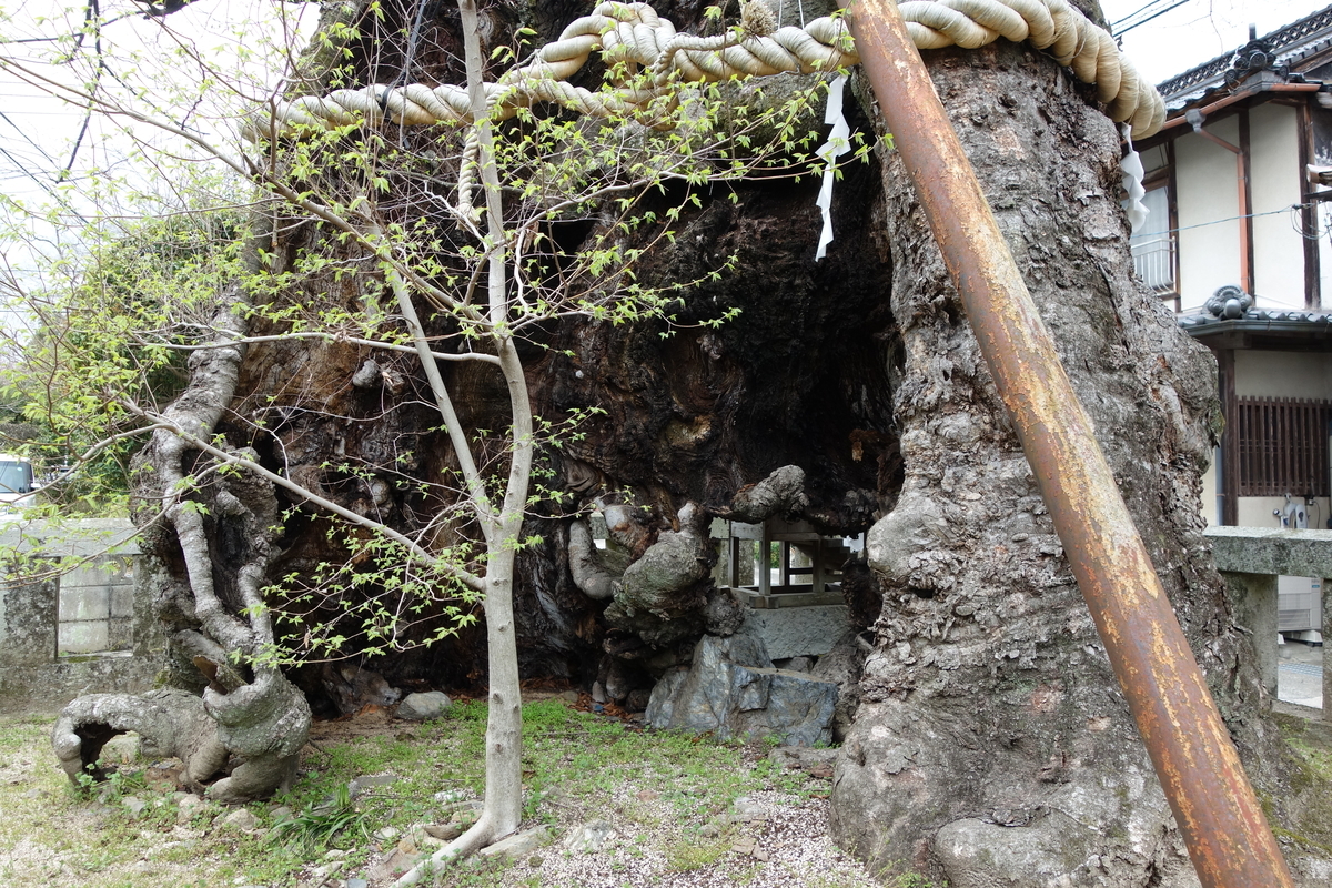 中山神社 - sogensyookuのブログ