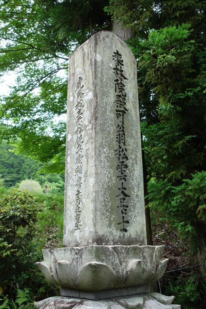 f:id:sogensyooku:20210627222528j:plain