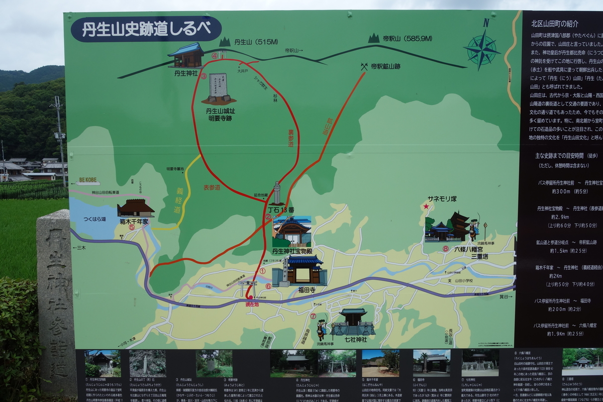 f:id:sogensyooku:20210716213949j:plain