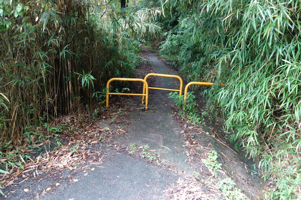 f:id:sogensyooku:20210716220649j:plain