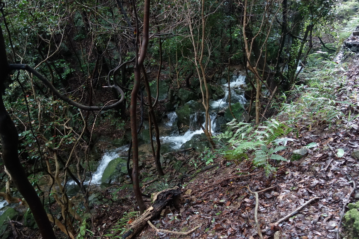 f:id:sogensyooku:20210716222007j:plain