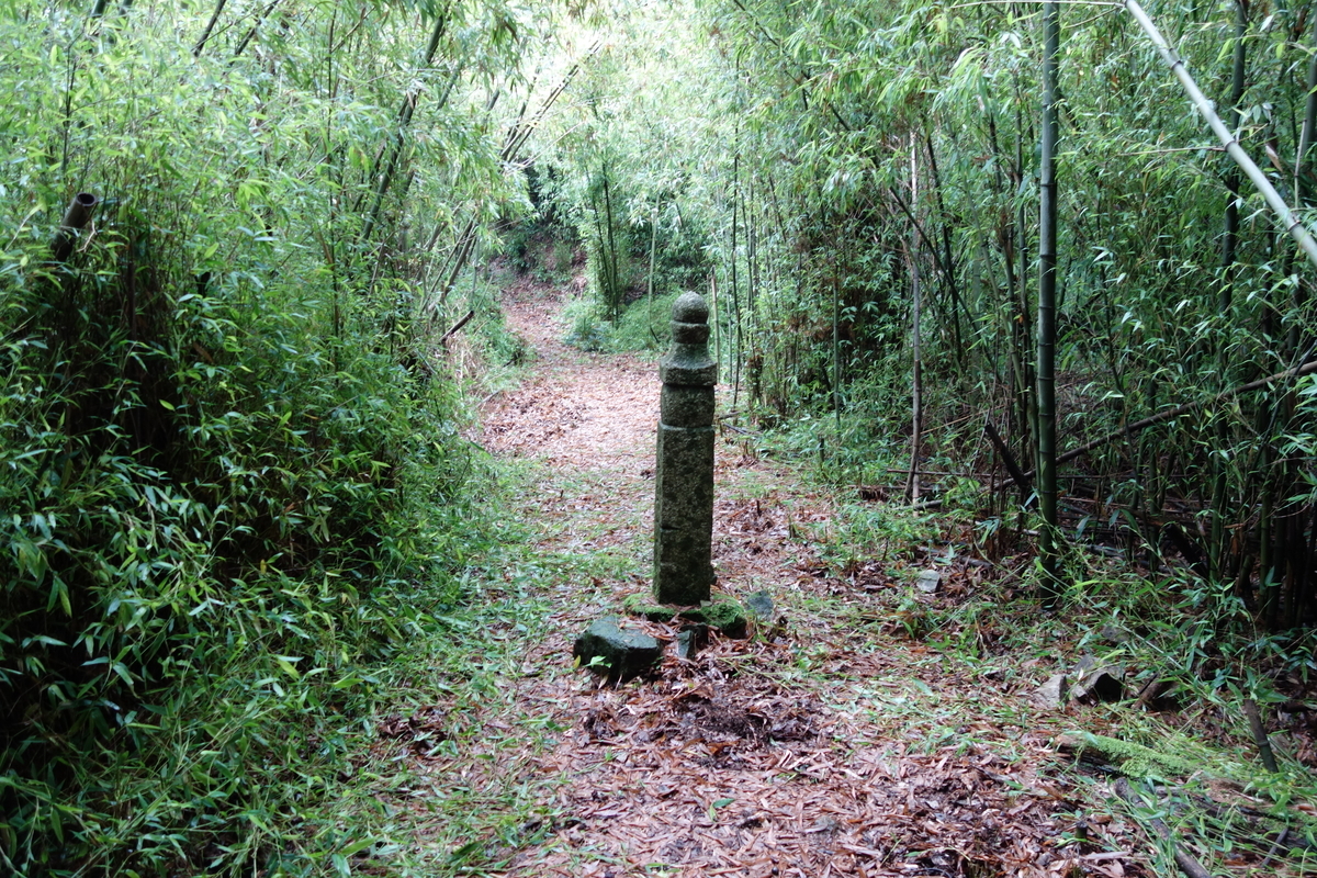 f:id:sogensyooku:20210716223604j:plain