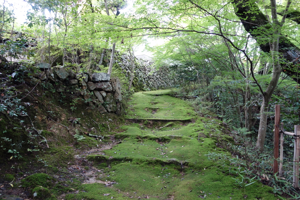 f:id:sogensyooku:20210721220414j:plain