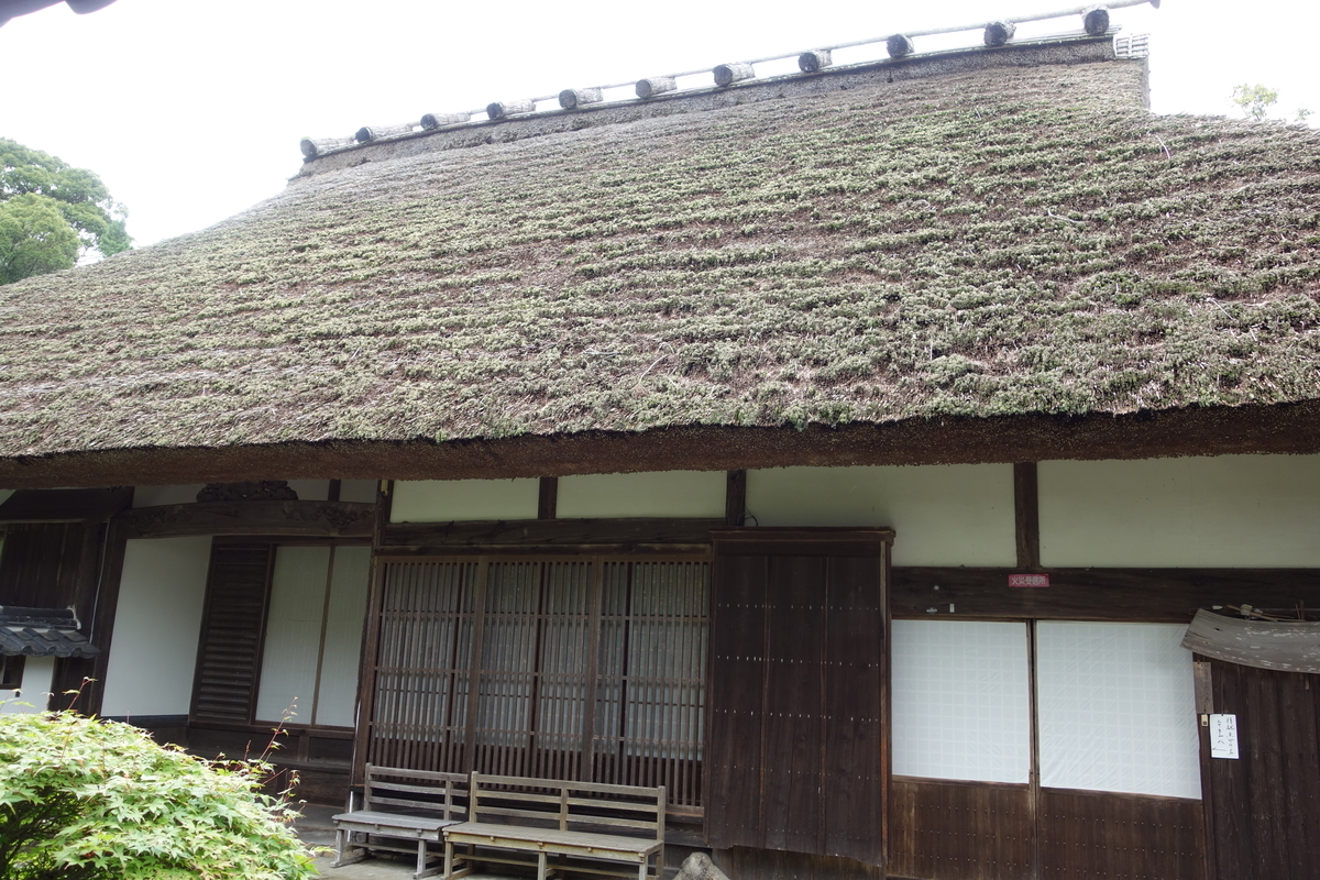 f:id:sogensyooku:20210721221009j:plain