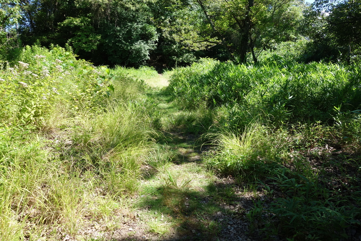 f:id:sogensyooku:20210812195521j:plain