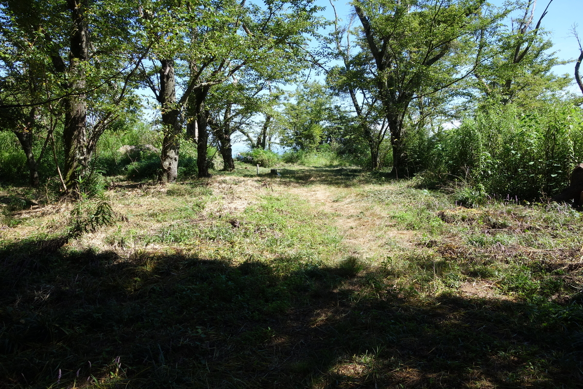 f:id:sogensyooku:20210812201440j:plain