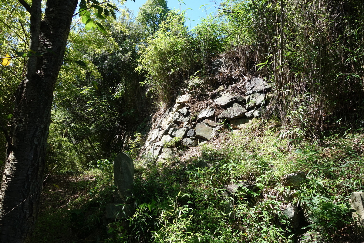 f:id:sogensyooku:20210812203410j:plain