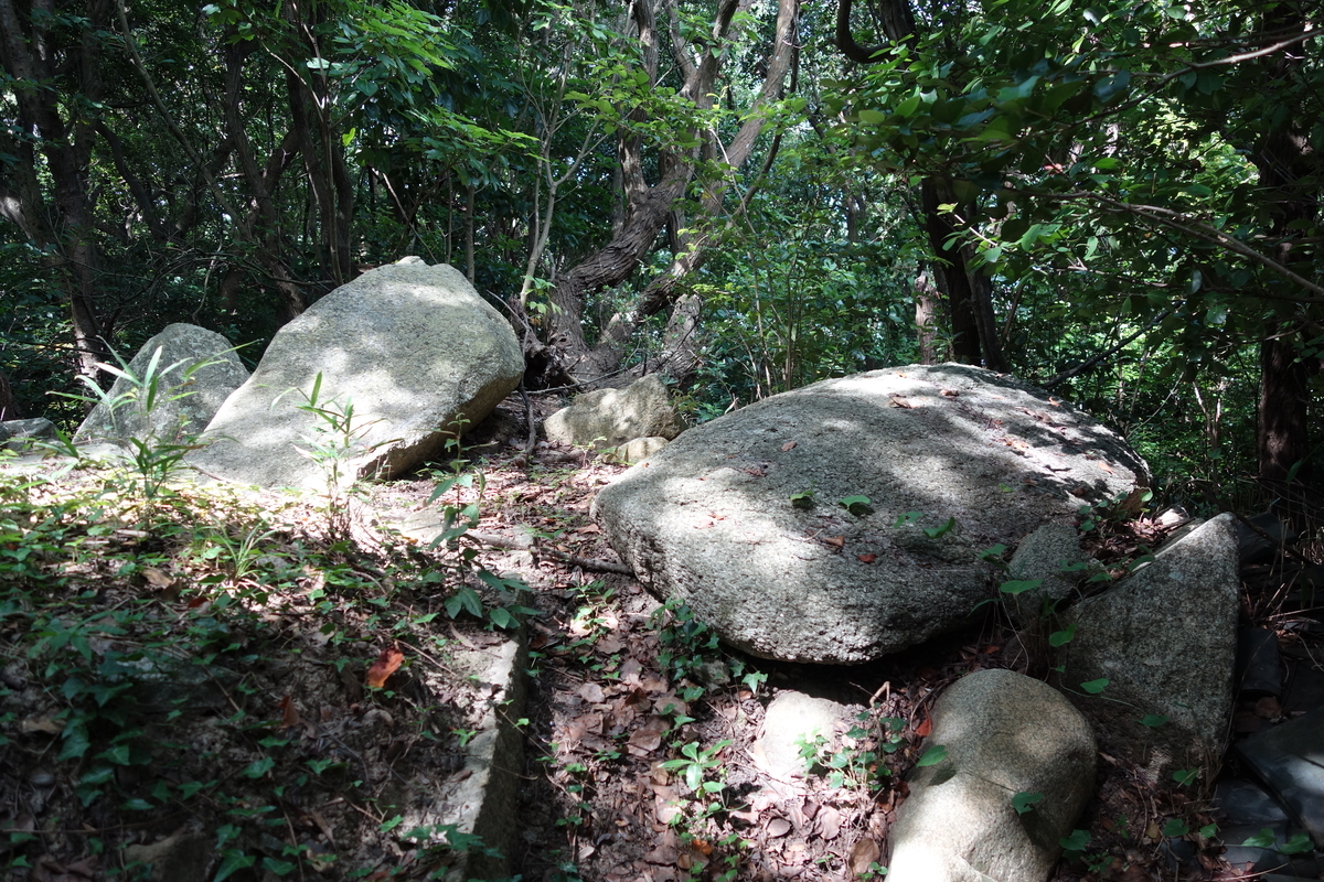 f:id:sogensyooku:20210818205427j:plain