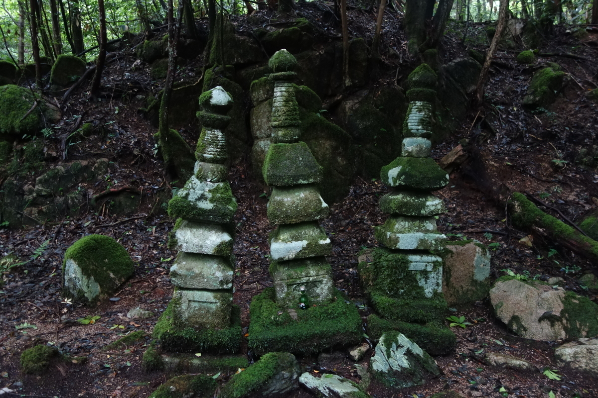 f:id:sogensyooku:20210921212527j:plain