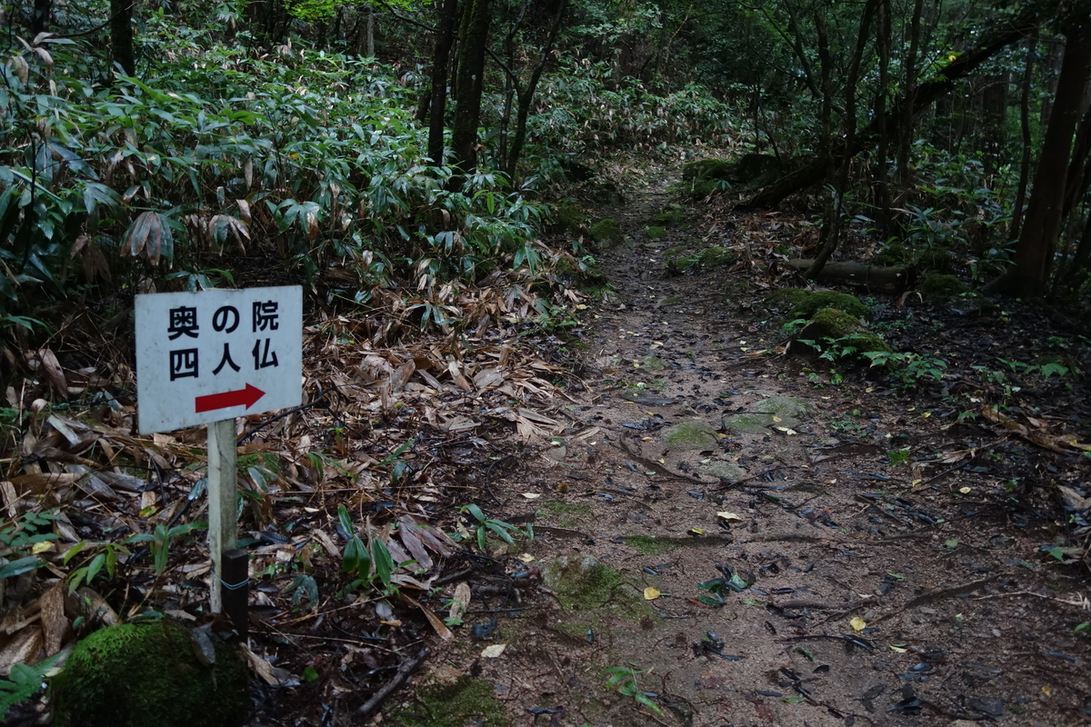 f:id:sogensyooku:20210923201306j:plain