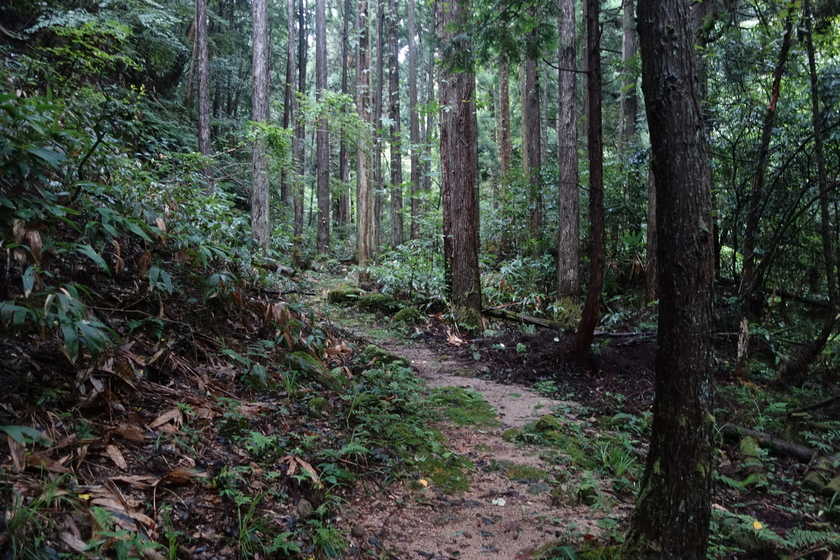 f:id:sogensyooku:20210923201339j:plain