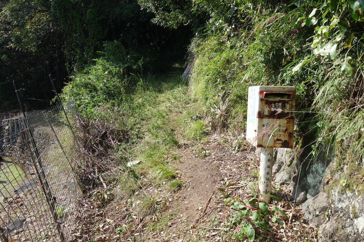 f:id:sogensyooku:20211105205452j:plain