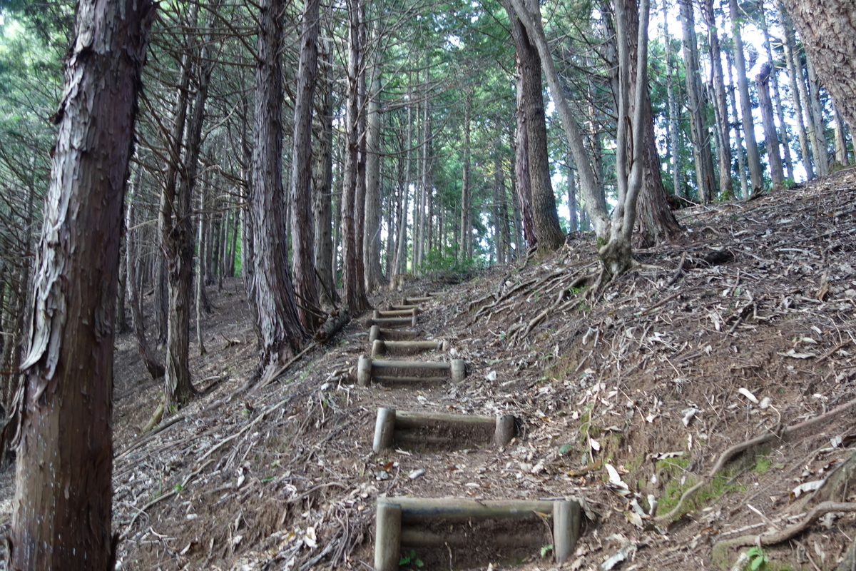 f:id:sogensyooku:20211105205713j:plain