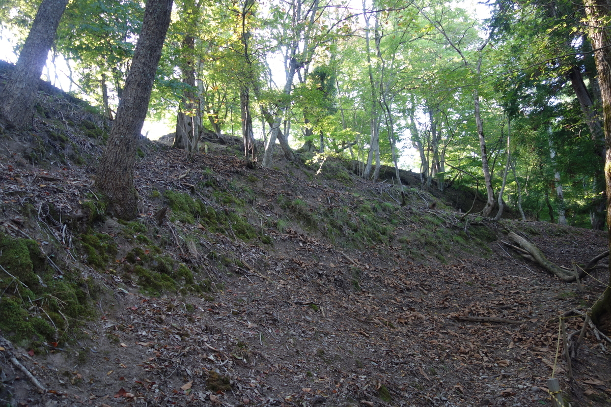 f:id:sogensyooku:20211105211738j:plain