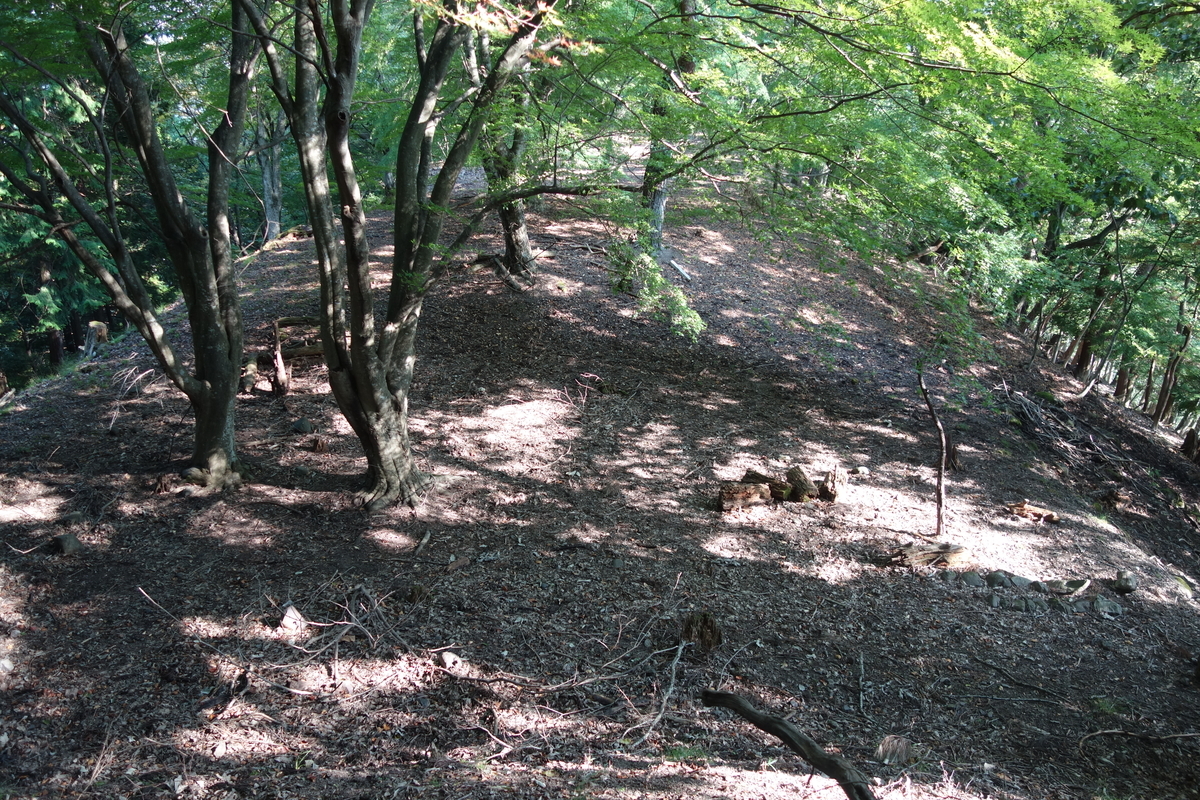 f:id:sogensyooku:20211105211820j:plain